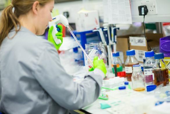 英國大學和學科也有“雙一流”？揭秘巔峰聯盟背后的學脈傳承與創新實力