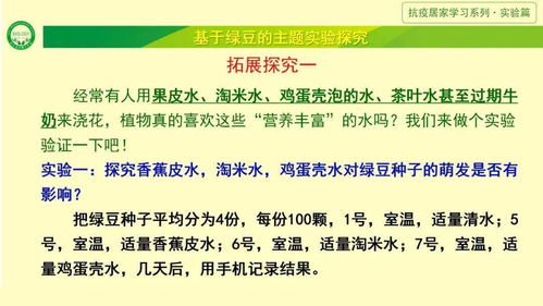 廚房里的綠豆魔法 居家實驗探索生命的奧秘